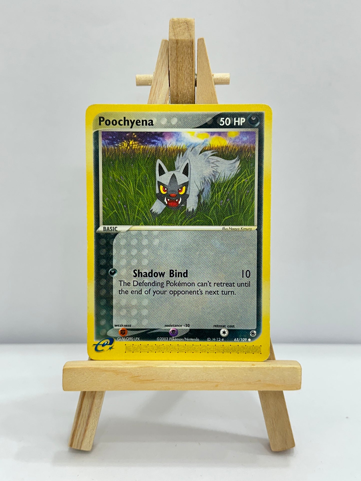 Poochyena