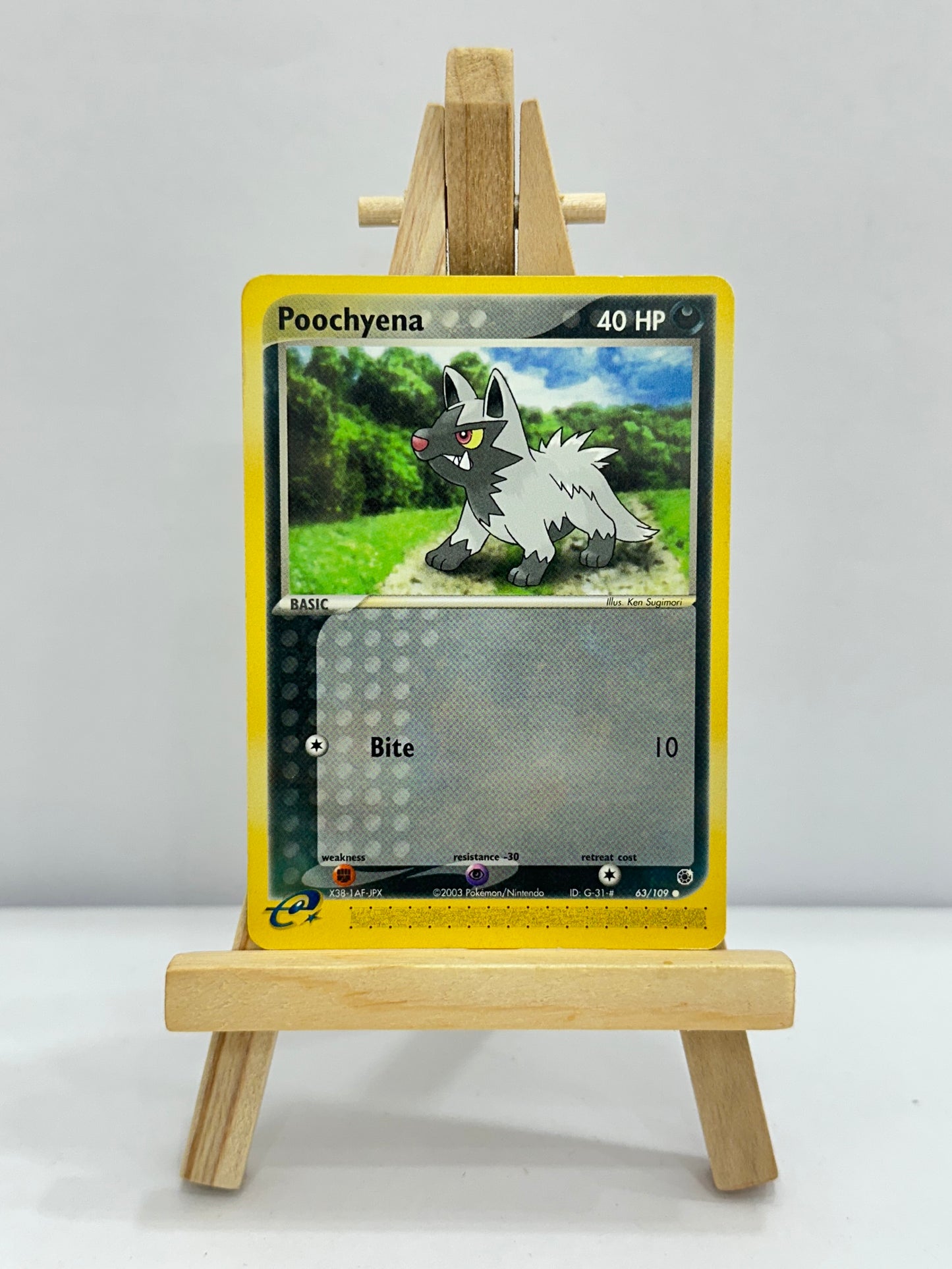 Poochyena