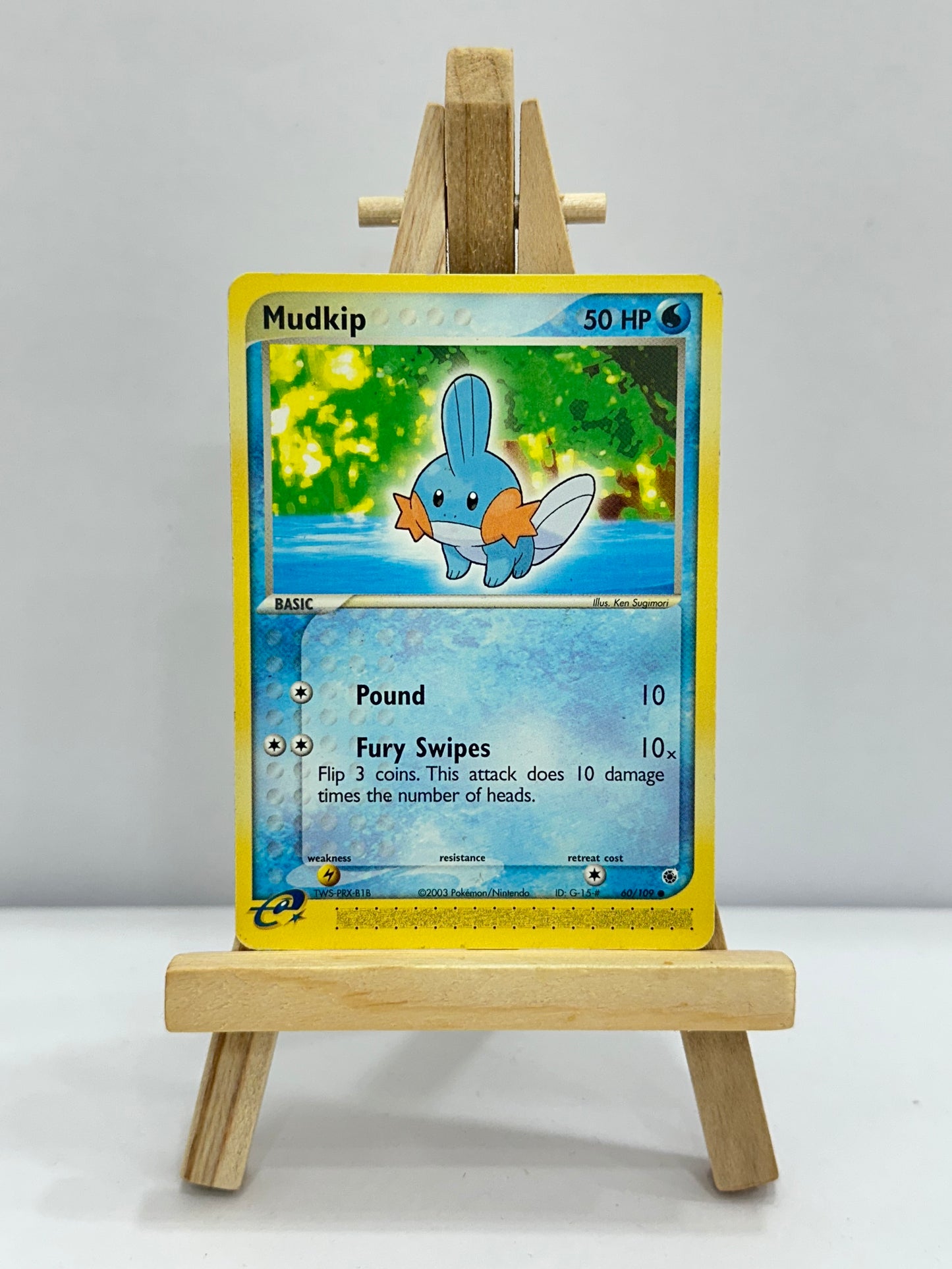 Mudkip