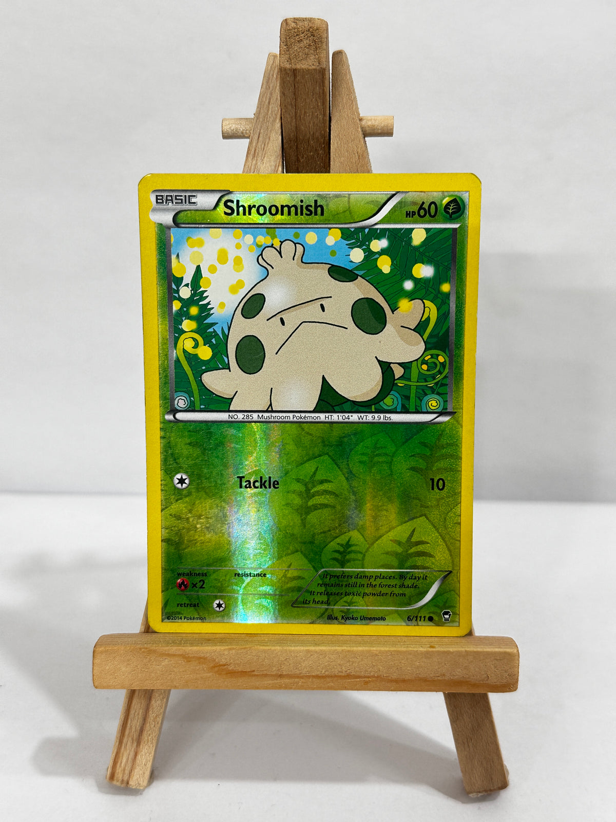 Shroomish (XY Furious Fists) Reverse Holo