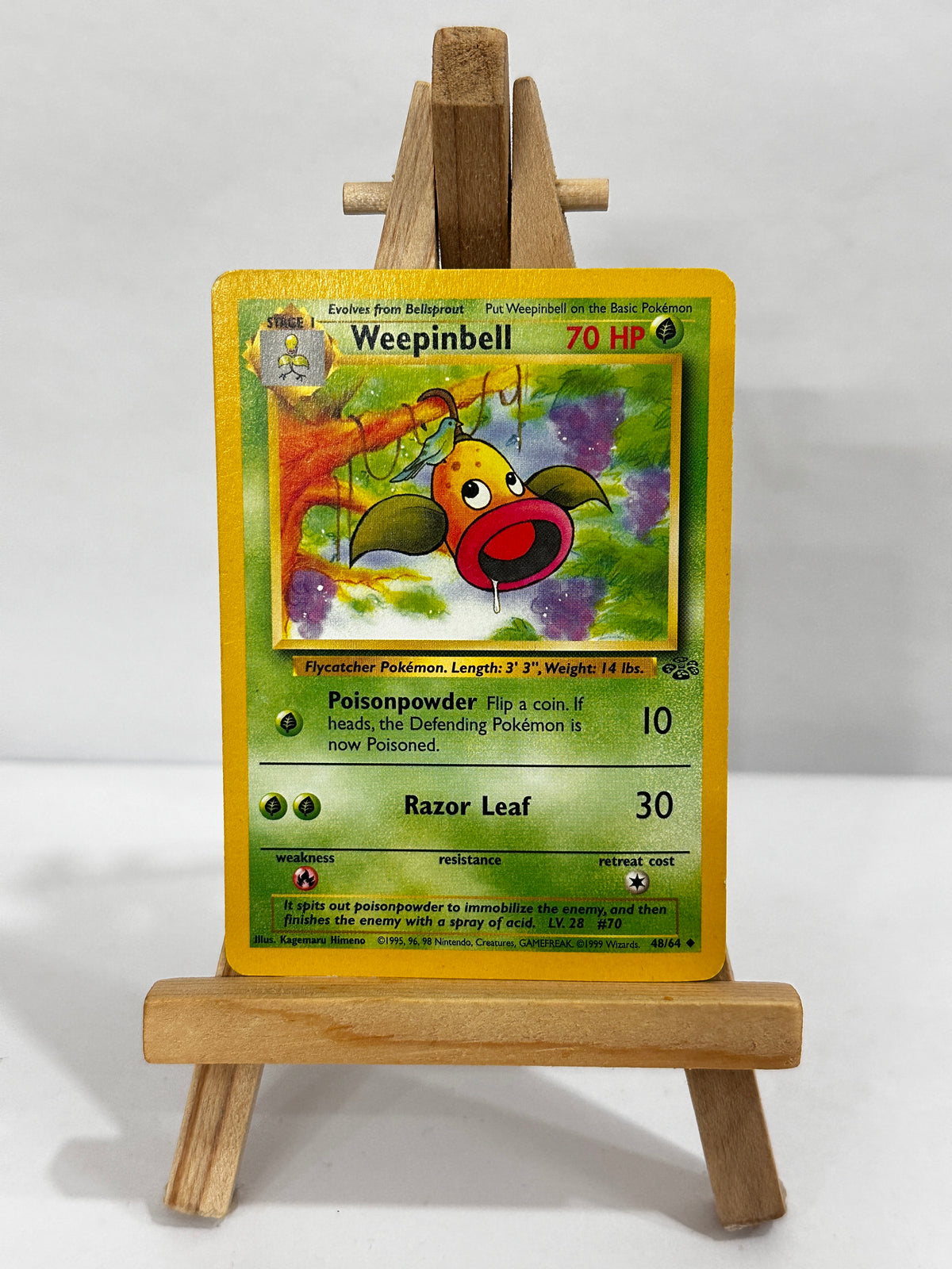 Weepinbell (Jungle)