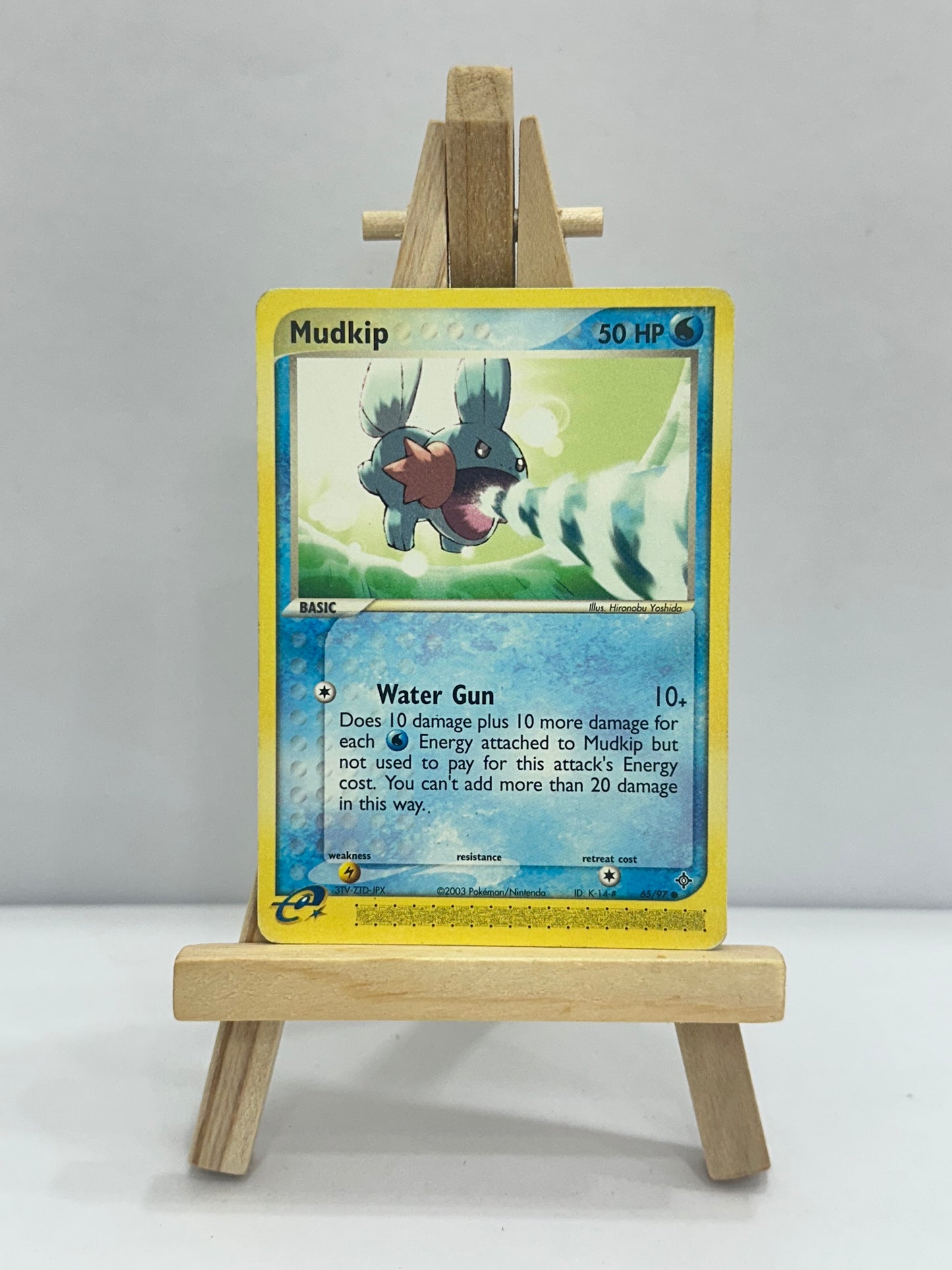 Mudkip (Ex Dragon)